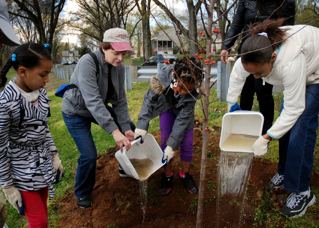 planting trees