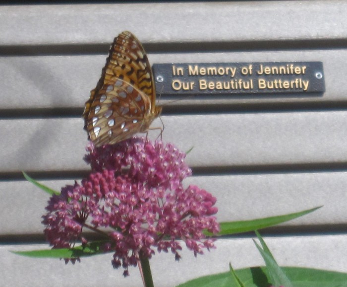Butterfly Garden County of Union, New Jersey