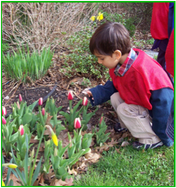 essay on planting trees for a greener living There are plenty of easy ways to be more environmentally friendly like recycling, to planting trees, refusing to use plastic bottles, and even growing your own fresh vegetables it is truly the easiest way to make a big impact on the environment, and in return, your health. essay on planting trees for a greener living There are plenty of easy ways to be more environmentally friendly like recycling, to planting trees, refusing to use plastic bottles, and even growing your own fresh vegetables it is truly the easiest way to make a big impact on the environment, and in return, your health.