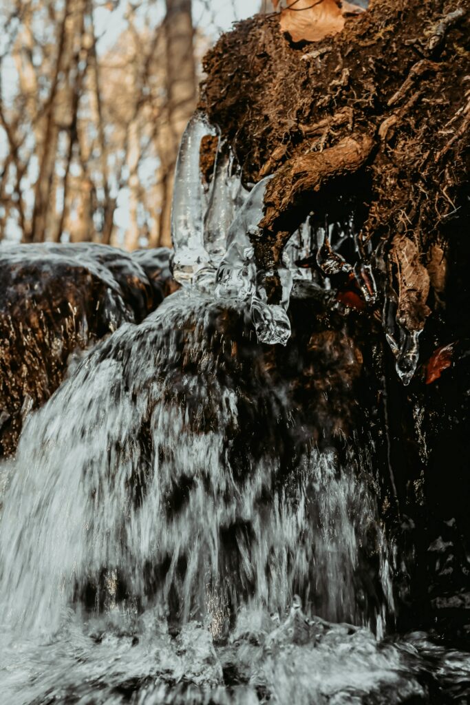 Image of icicles coming from suspended roots with a stream in the background