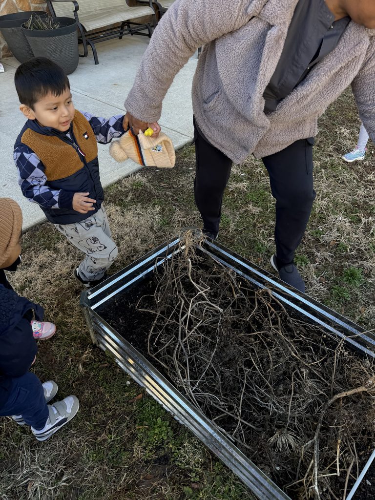 photo of teacher with students checking garlic plants  
