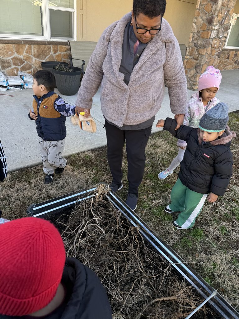 photo of teacher with students walking towards garlic plants 