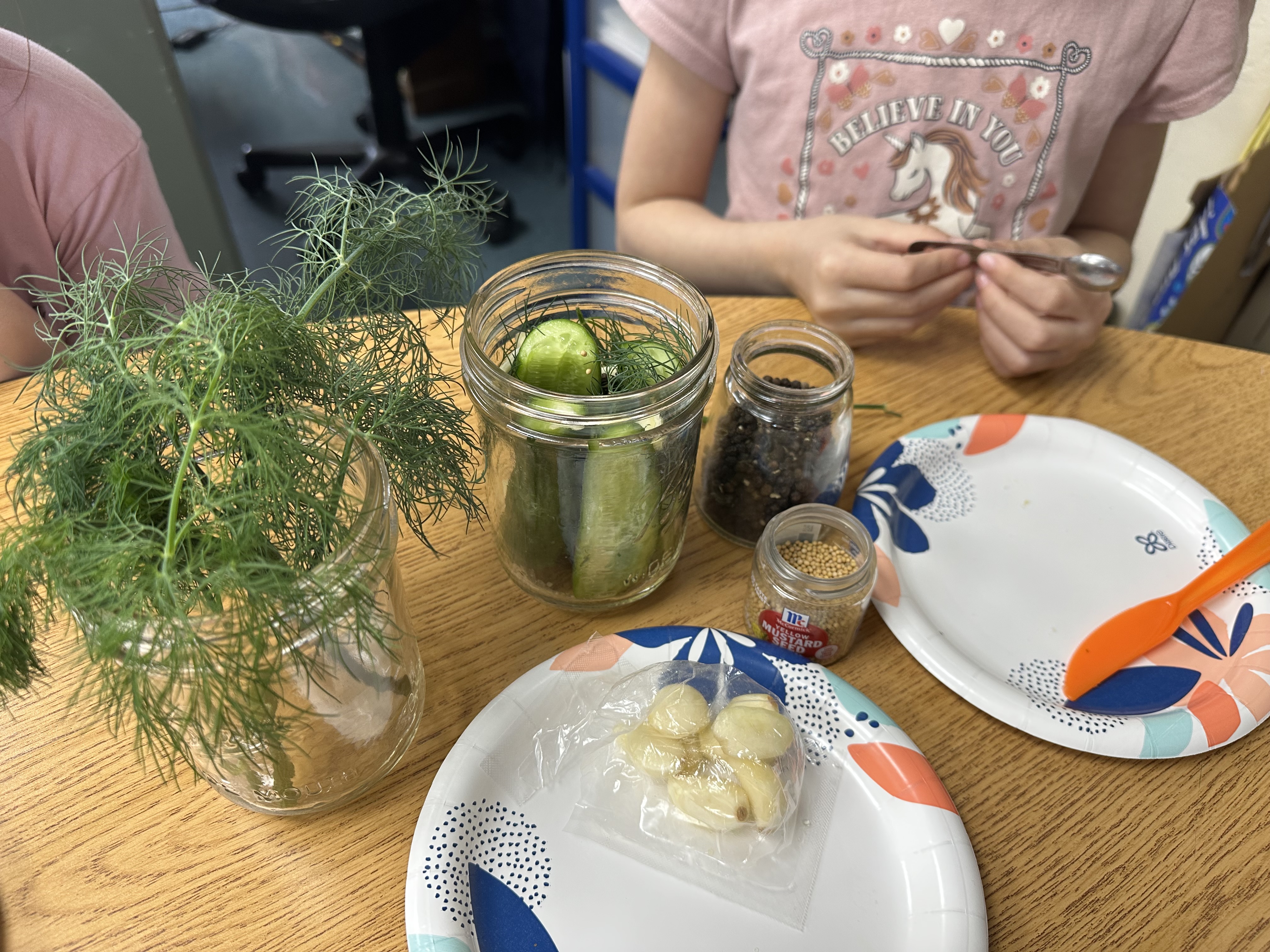 Student preparing homemade pickles with fresh dill, cucumber, garlic, peppercorn and mustard seeds