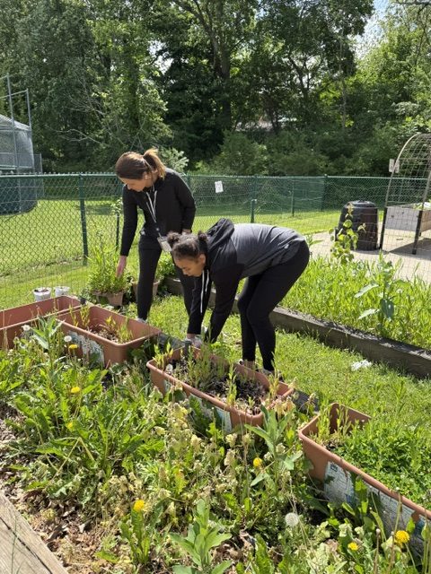 Teacher and student tending to plants in outdoor garden