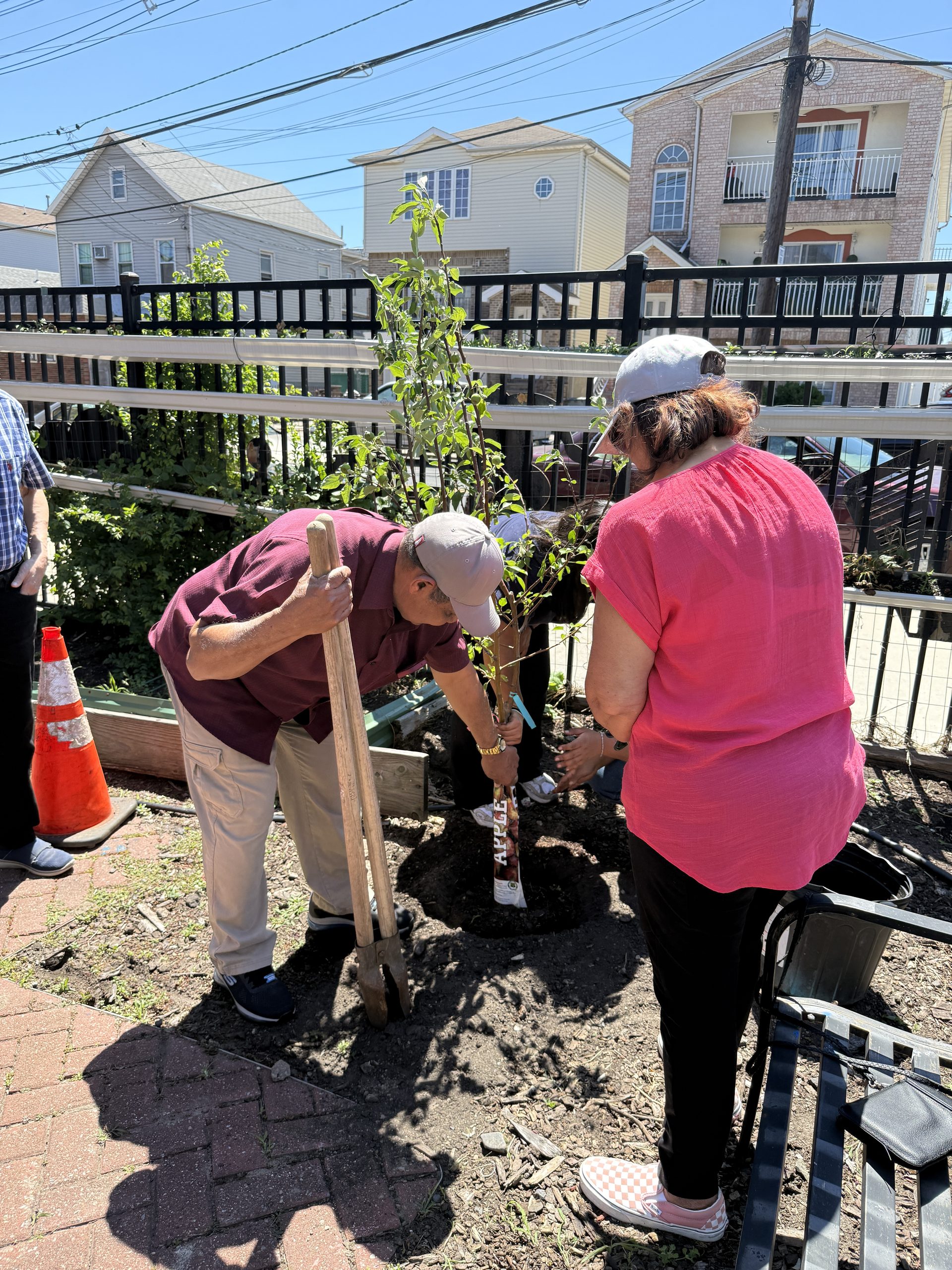 Elizabethport Community Center members planting a new apple tree in their garden