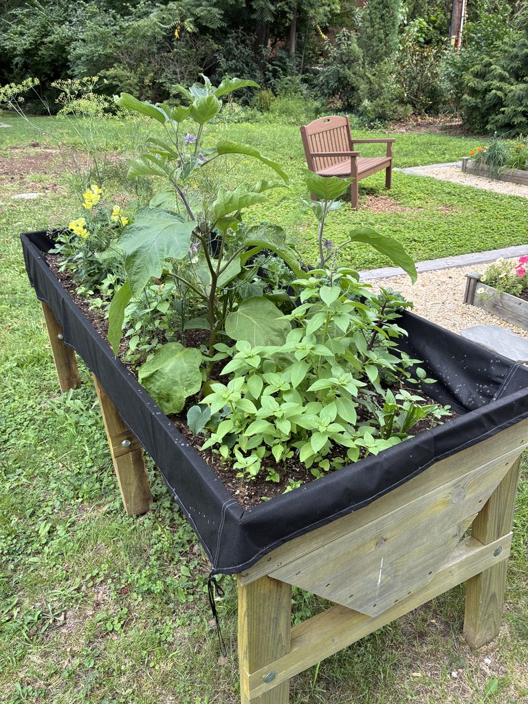Hanson Park Conservancy