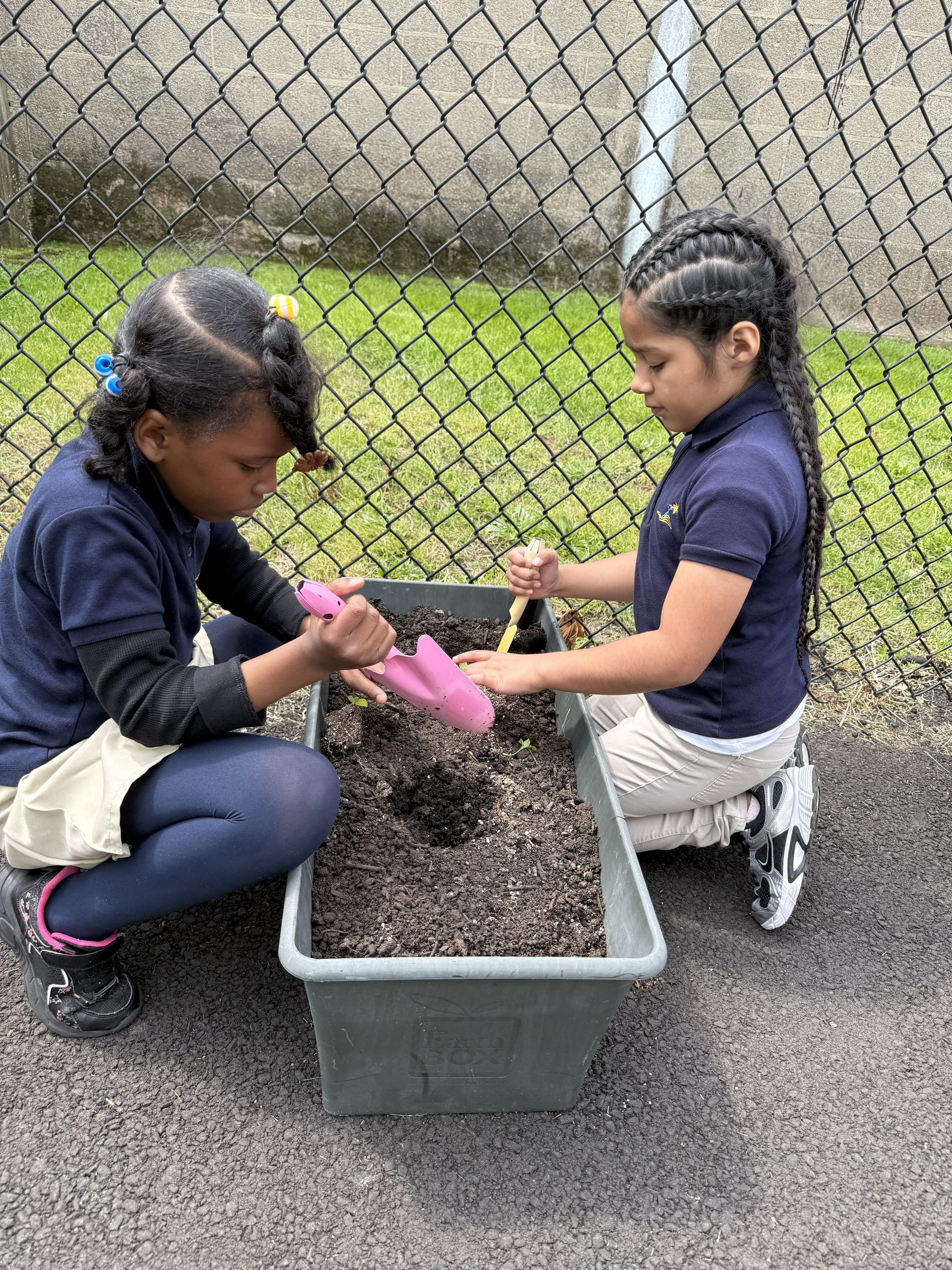 Two students planting in a rectangular plastic pot 