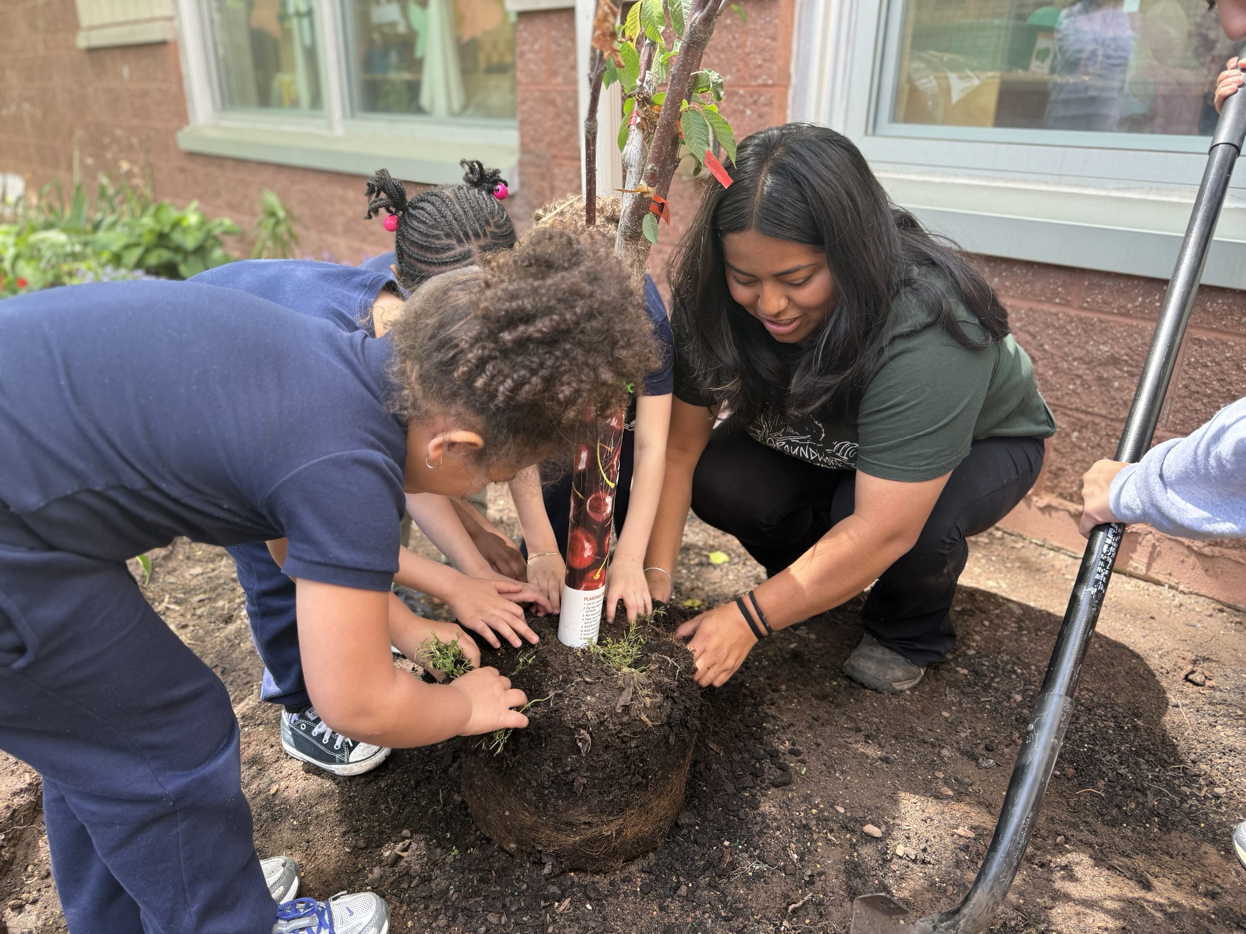 School No. 52 students and Groundwork Elizabeth staff planting a cherry tree
