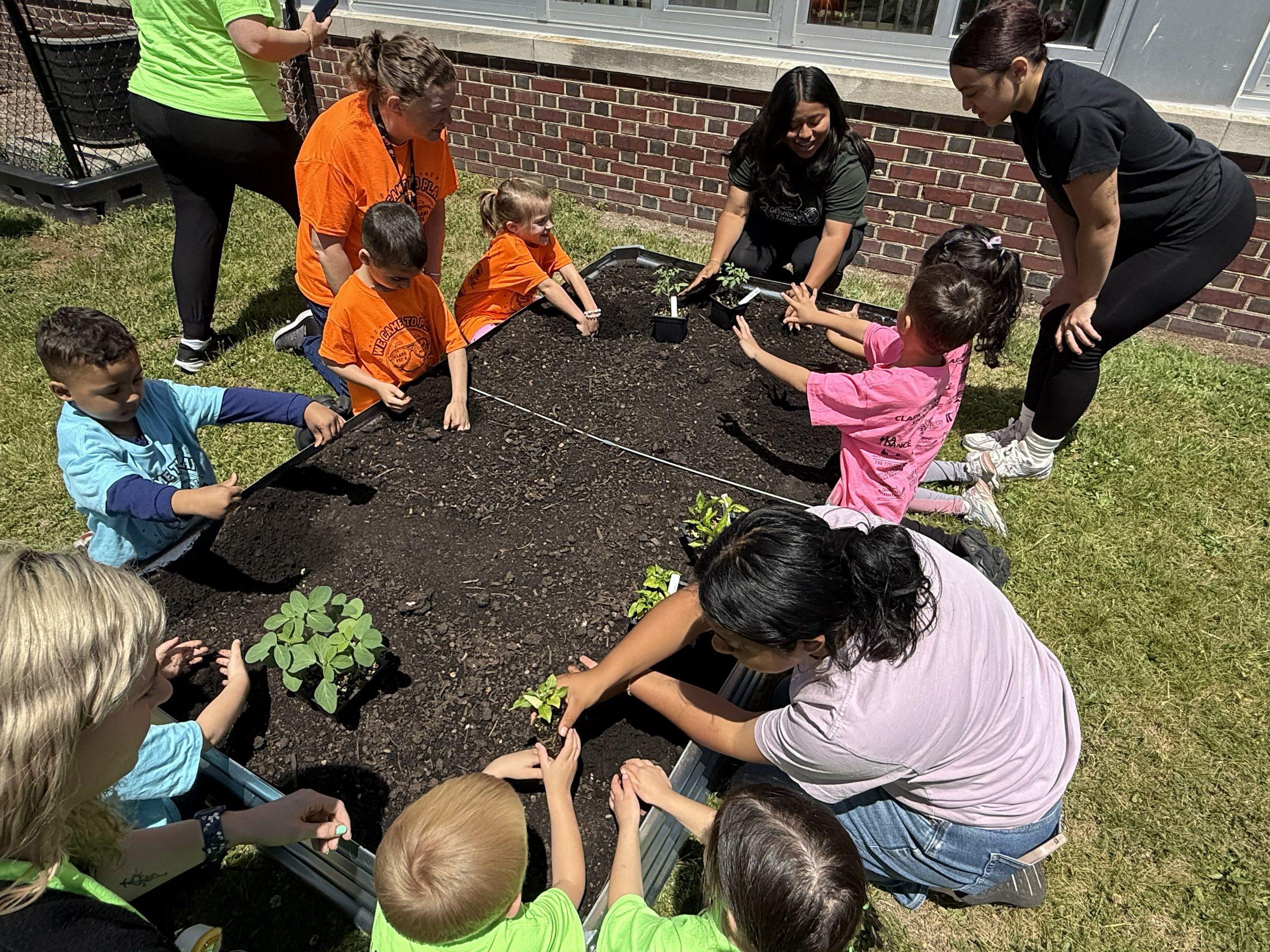 Image of Clark Pre-K students, teachers, and Groundwork Elizabeth staff planting new plants on the raised garden bed