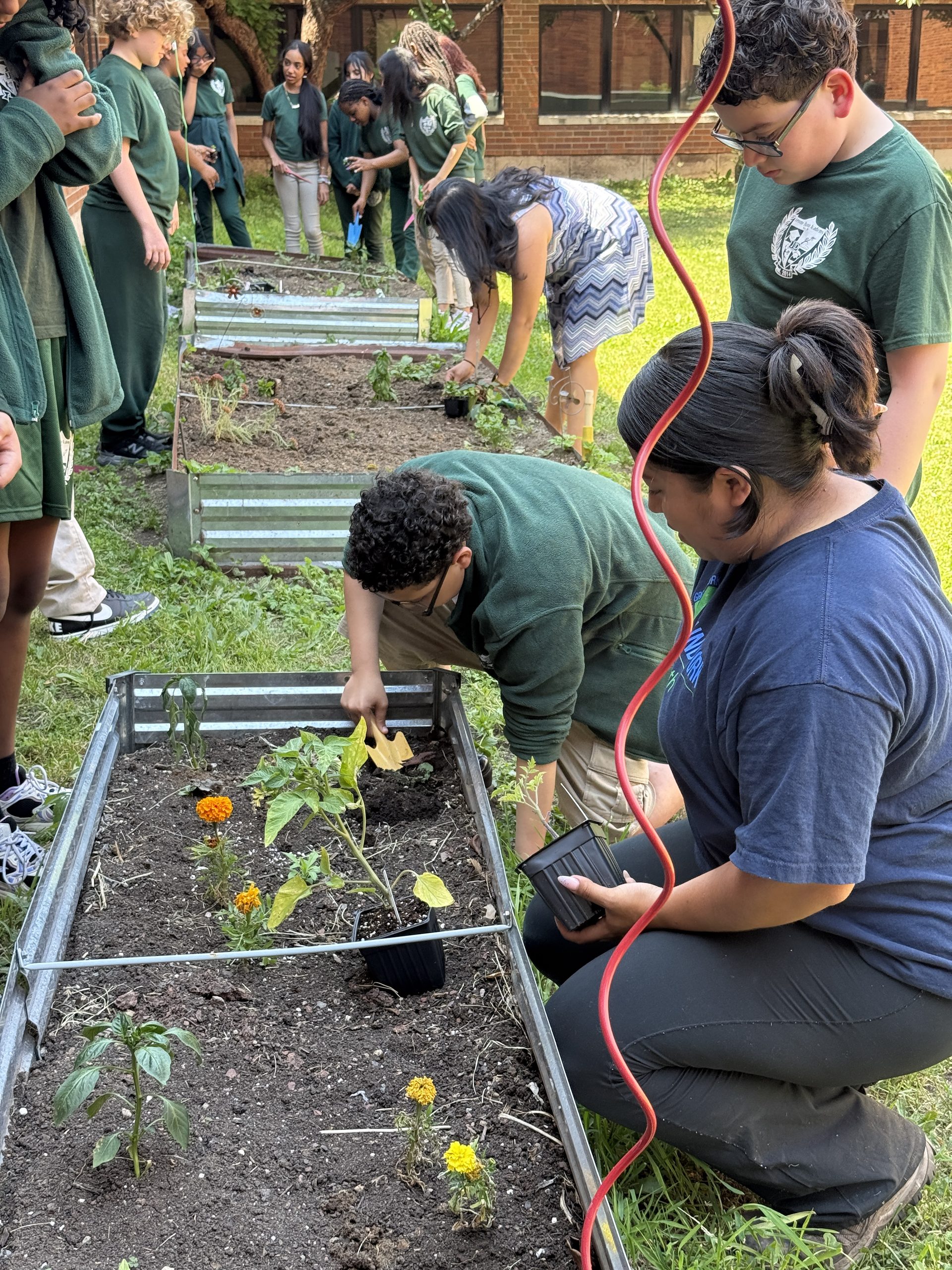 Jerome Dunn students and Groundwork Elizabeth team planting in raised garden beds