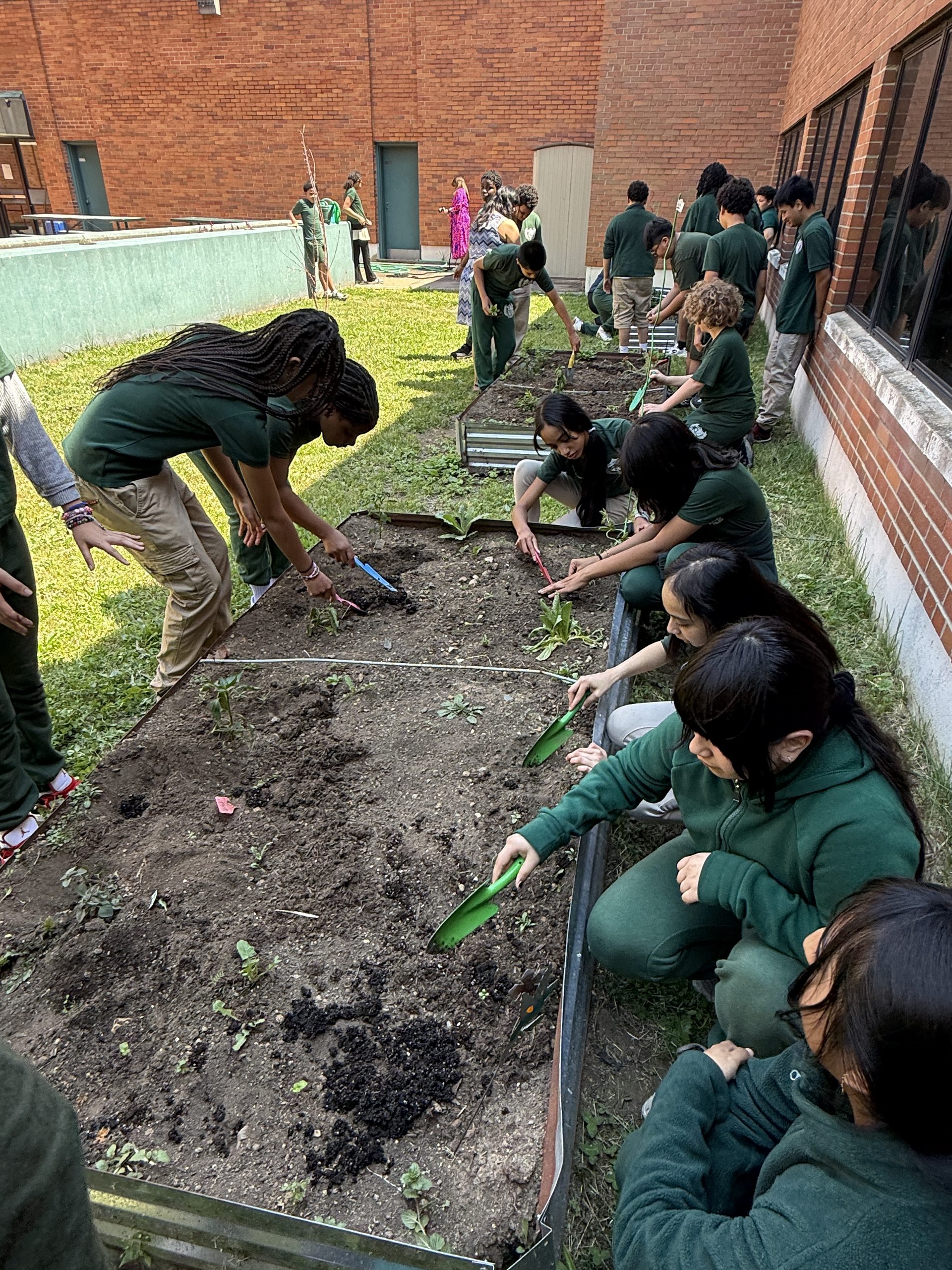 Jerome Dunn students and Groundwork Elizabeth team planting in raised garden beds