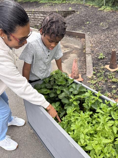 Photo of teacher and student in front of raised garden bed. Teacher is pointing to the strawberry plants.
