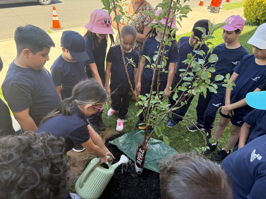 Students gathered around a tree.