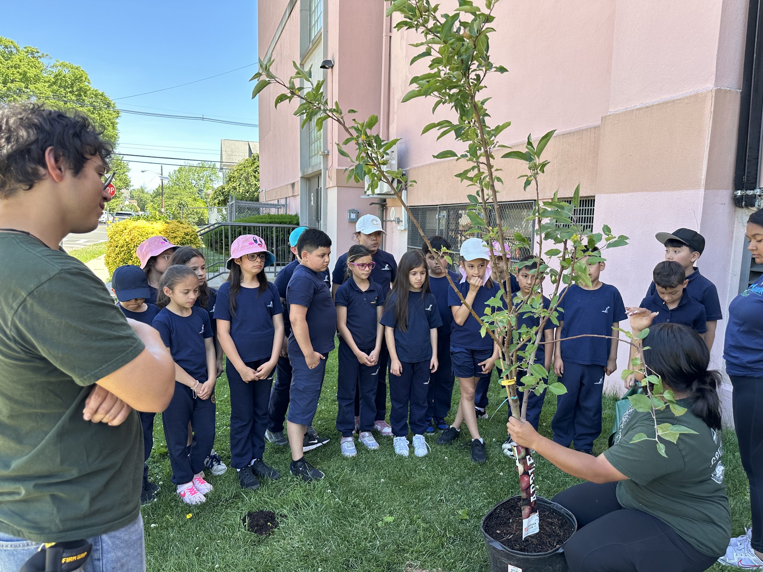 School No. 12 students gathered for a tree planting demonstration from Groundworks Elizabeth