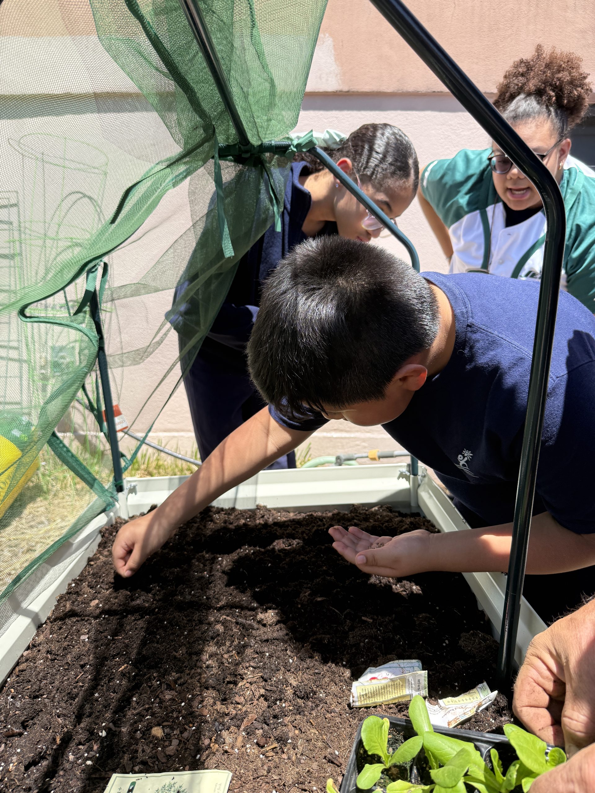 School No. 12 students planting seedlings in their new ADA Compliant raised garden bed