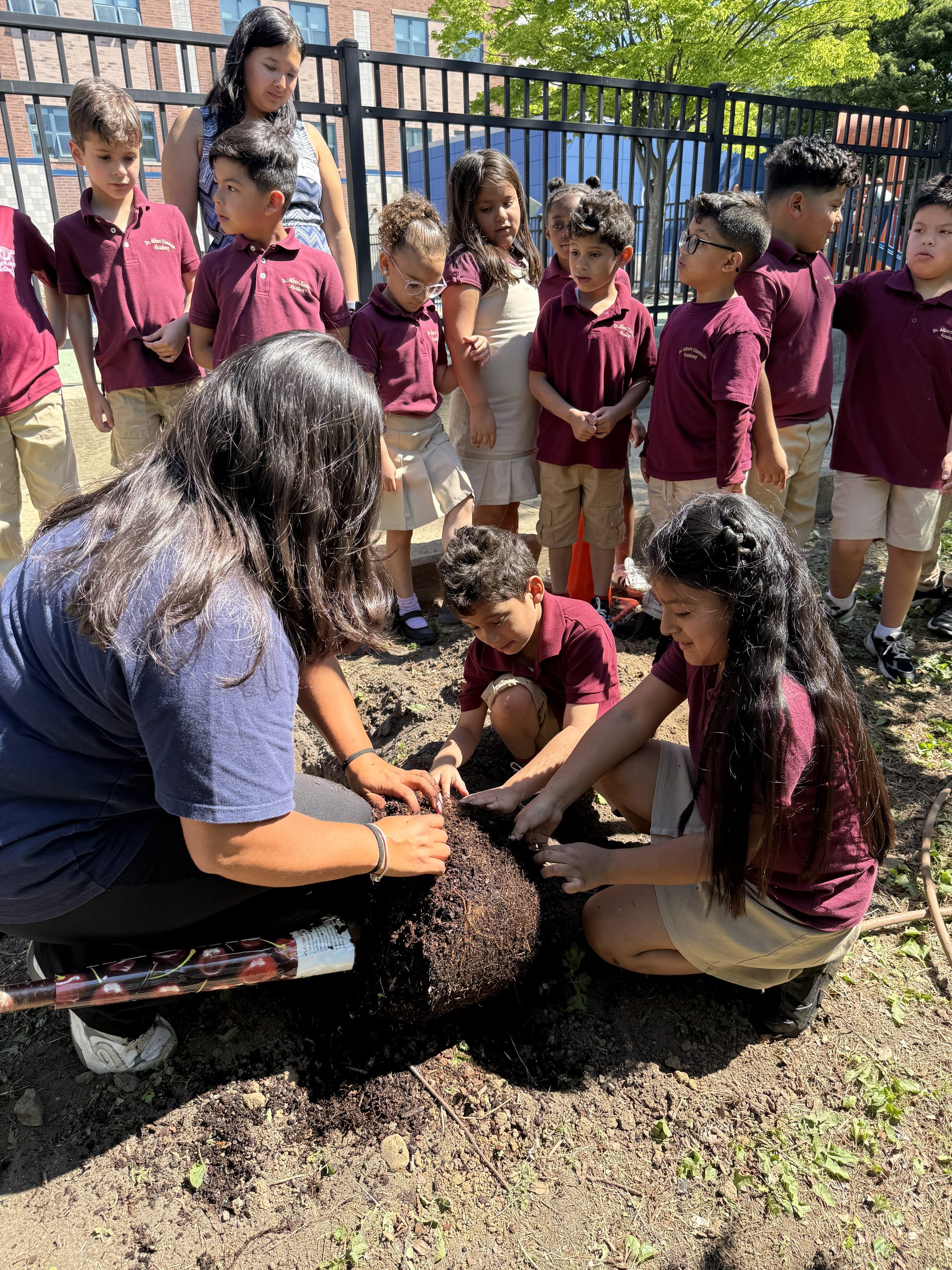 some students help Groundworks Elizabeth staff prepare the young cherry tree for planting