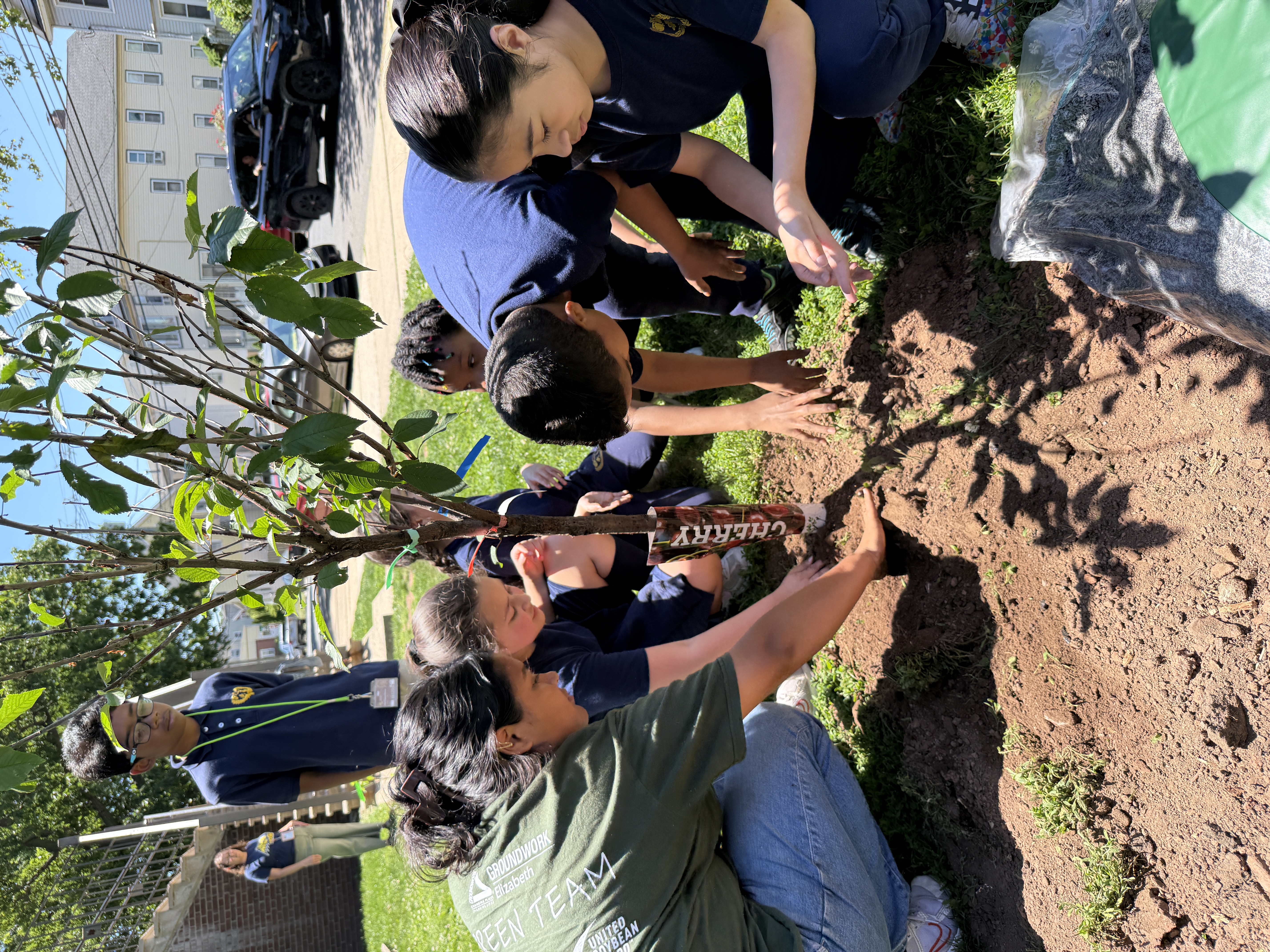 School No. 7 students and Groundworks Elizabeth staff finish planting cherry tree, covering all roots with soil