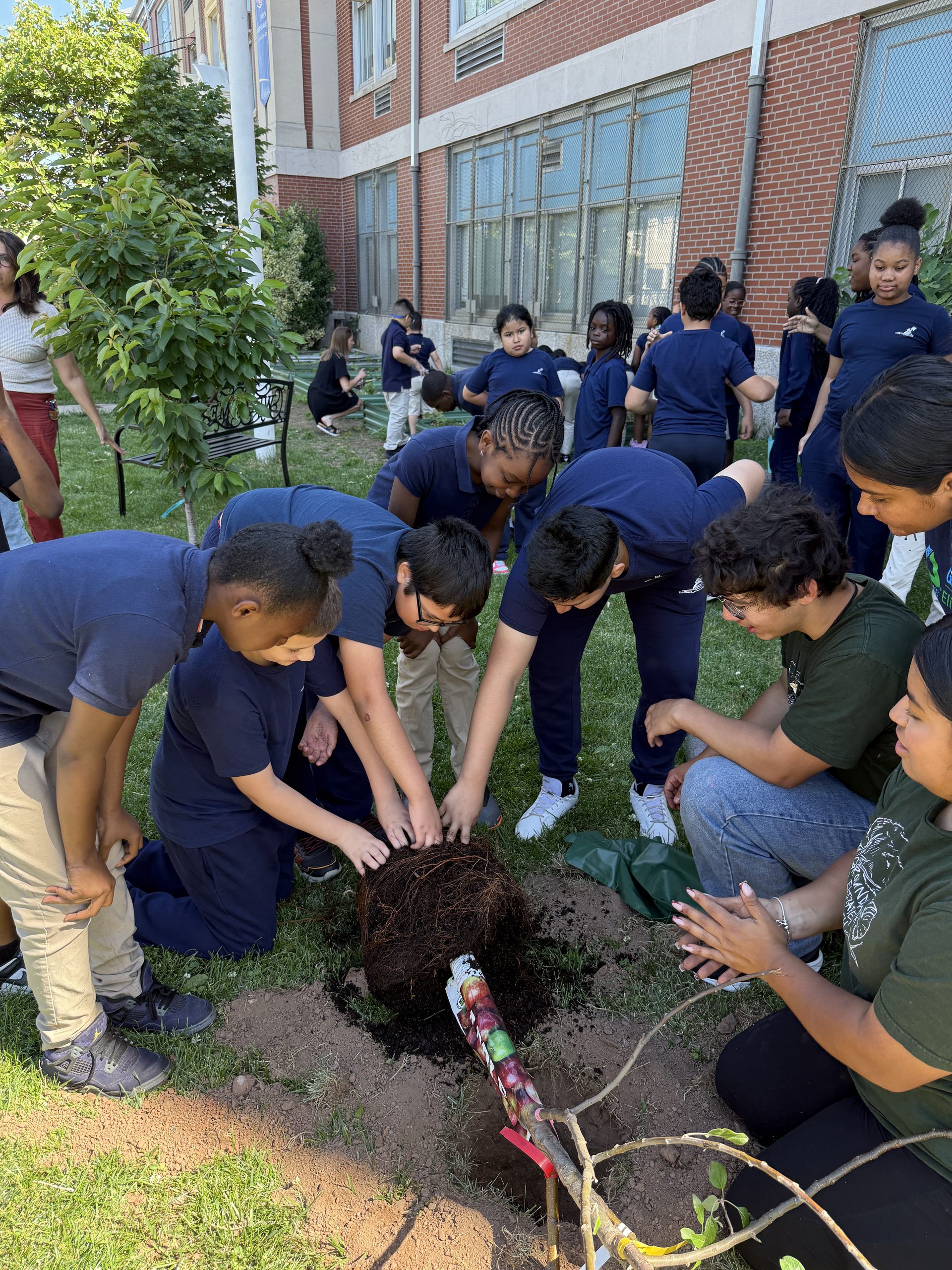 John Marshall School No. 20 students and Groundworks Elizabeth staff planting the apple tree