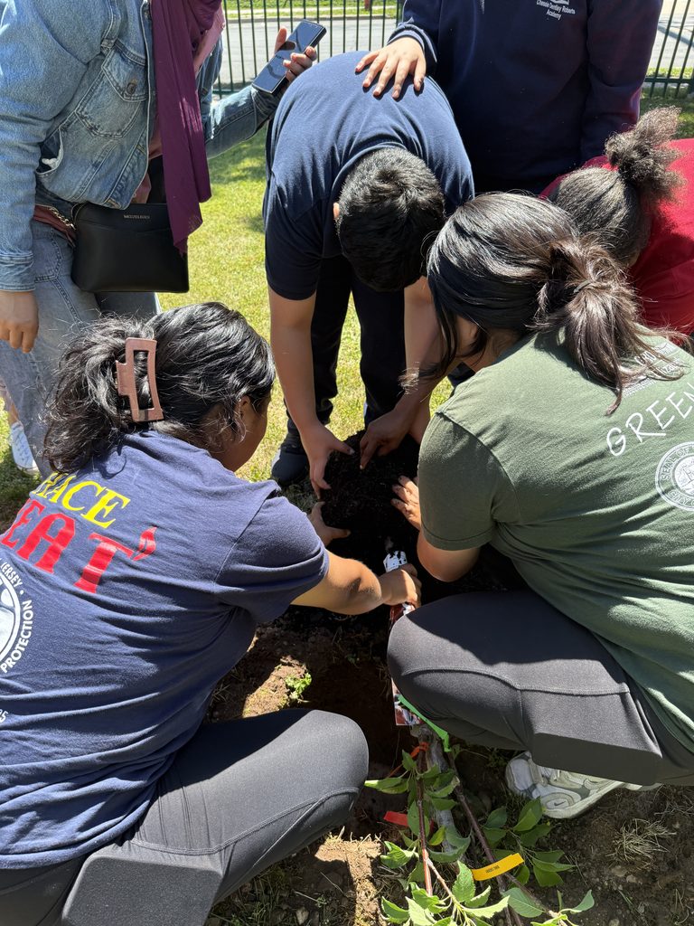 A photo of students planting plants.