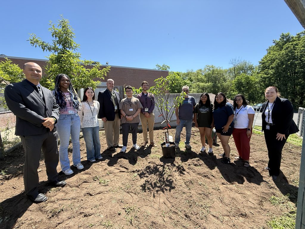 Students planting a cherry tree.