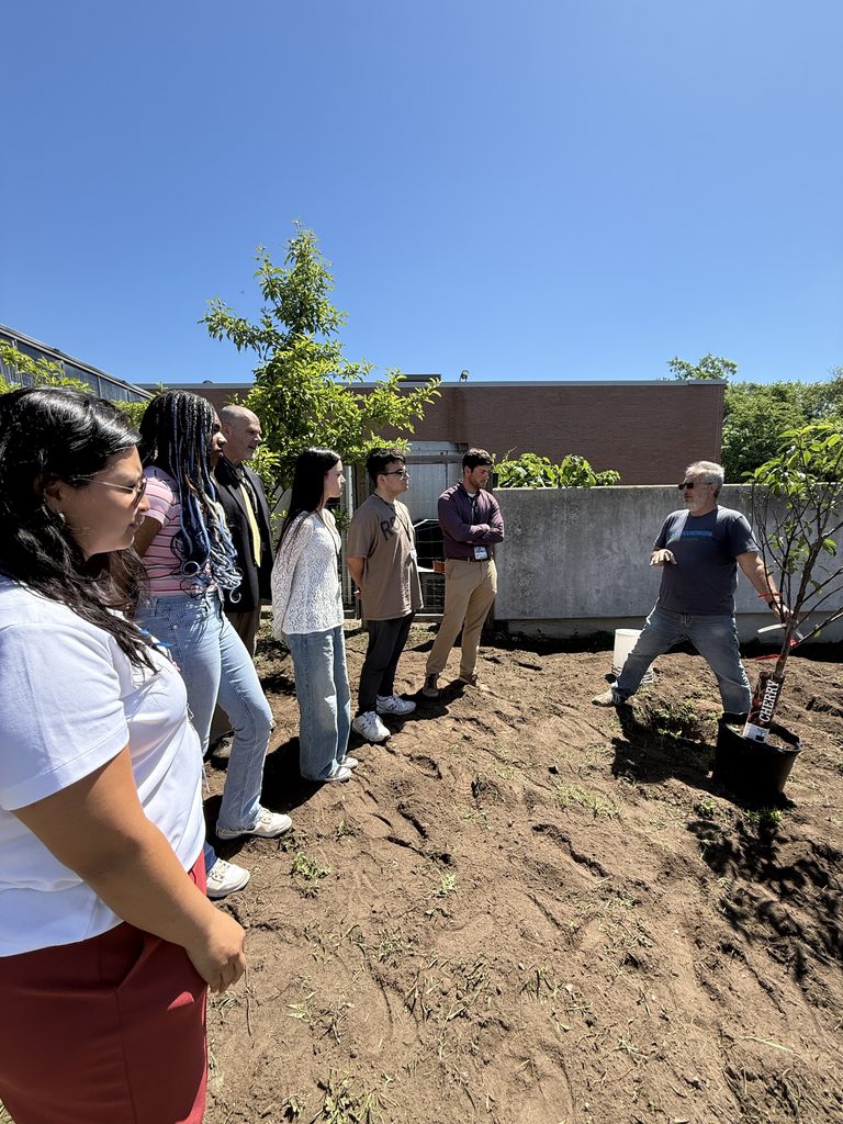 Students planting a cherry tree.