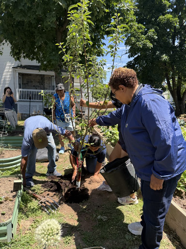 Vice-Chair Williams and community members gathered around the garden.