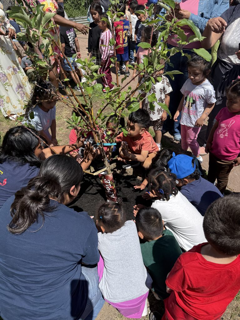 Children, Vice-Chair Williams and the team from Groundworks Elizabeth planting an apple tree.