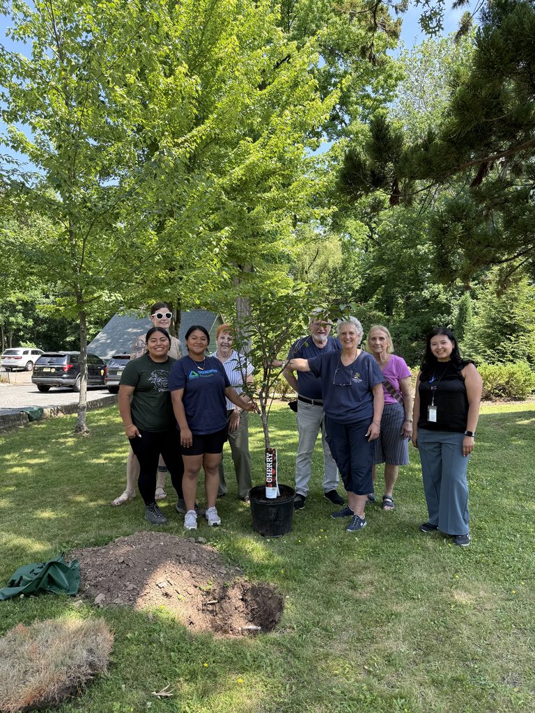 Community members gathered around a cherry tree.
