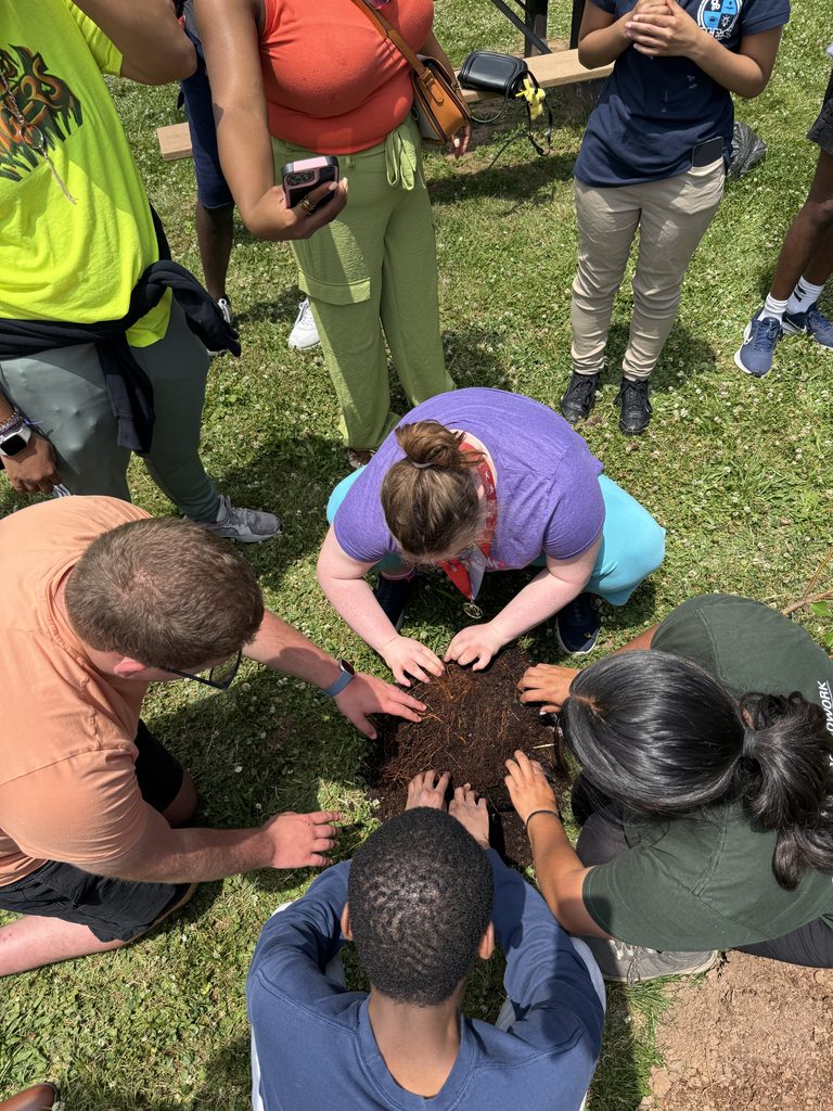 Community members planting an apple tree.