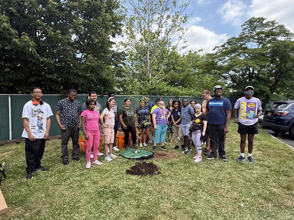 Community members planting an apple tree.