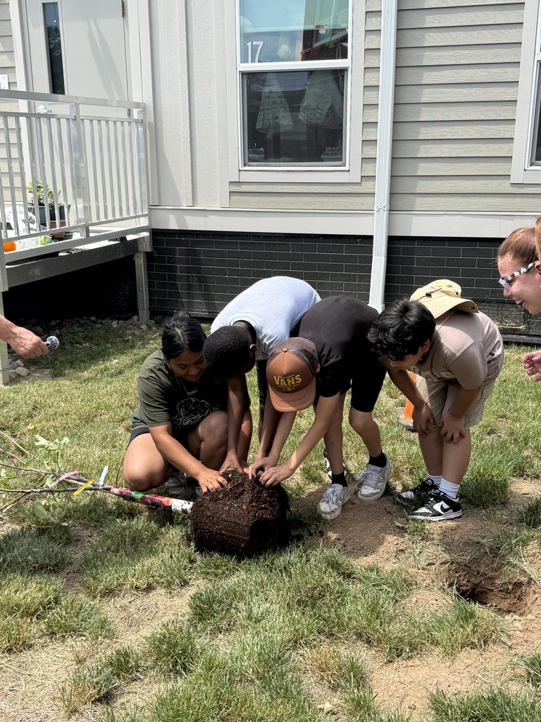 Children planting an apple tree.