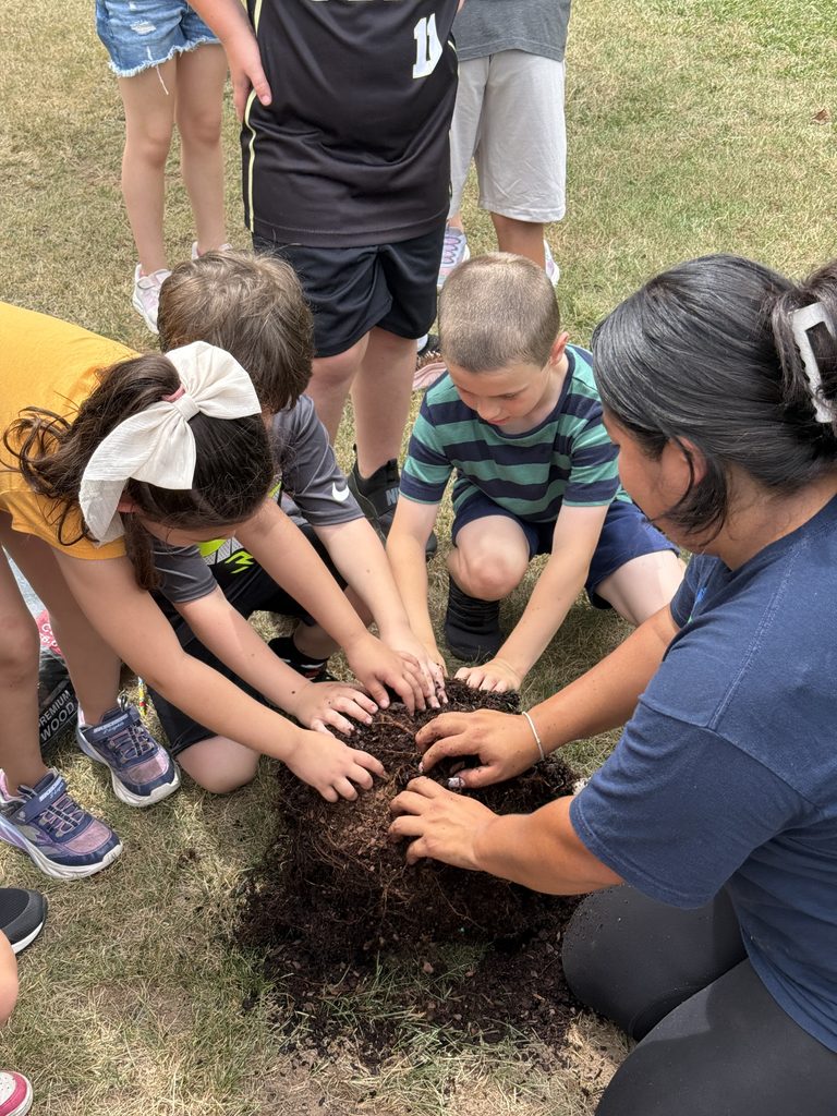 Students planting a cherry tree.