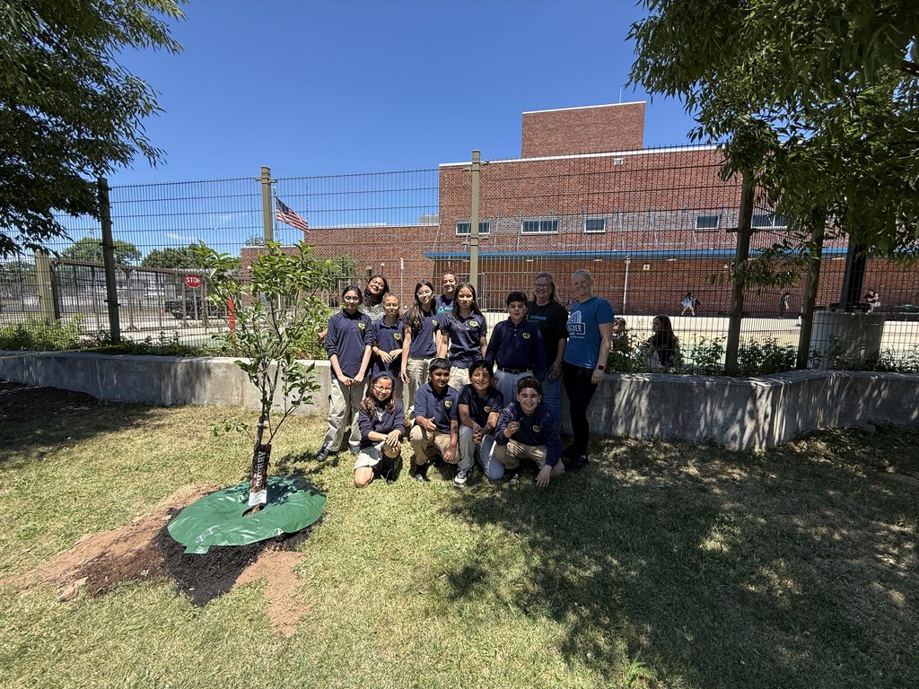 Students planting a cherry tree.