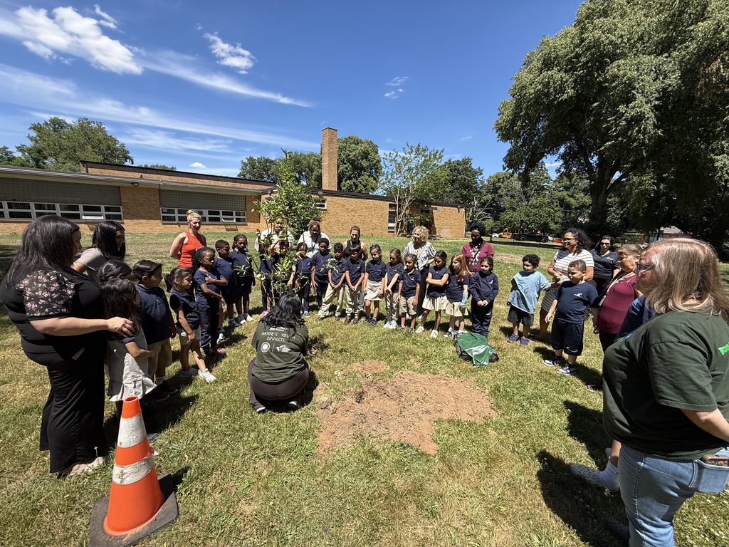 Students planting an apple tree.