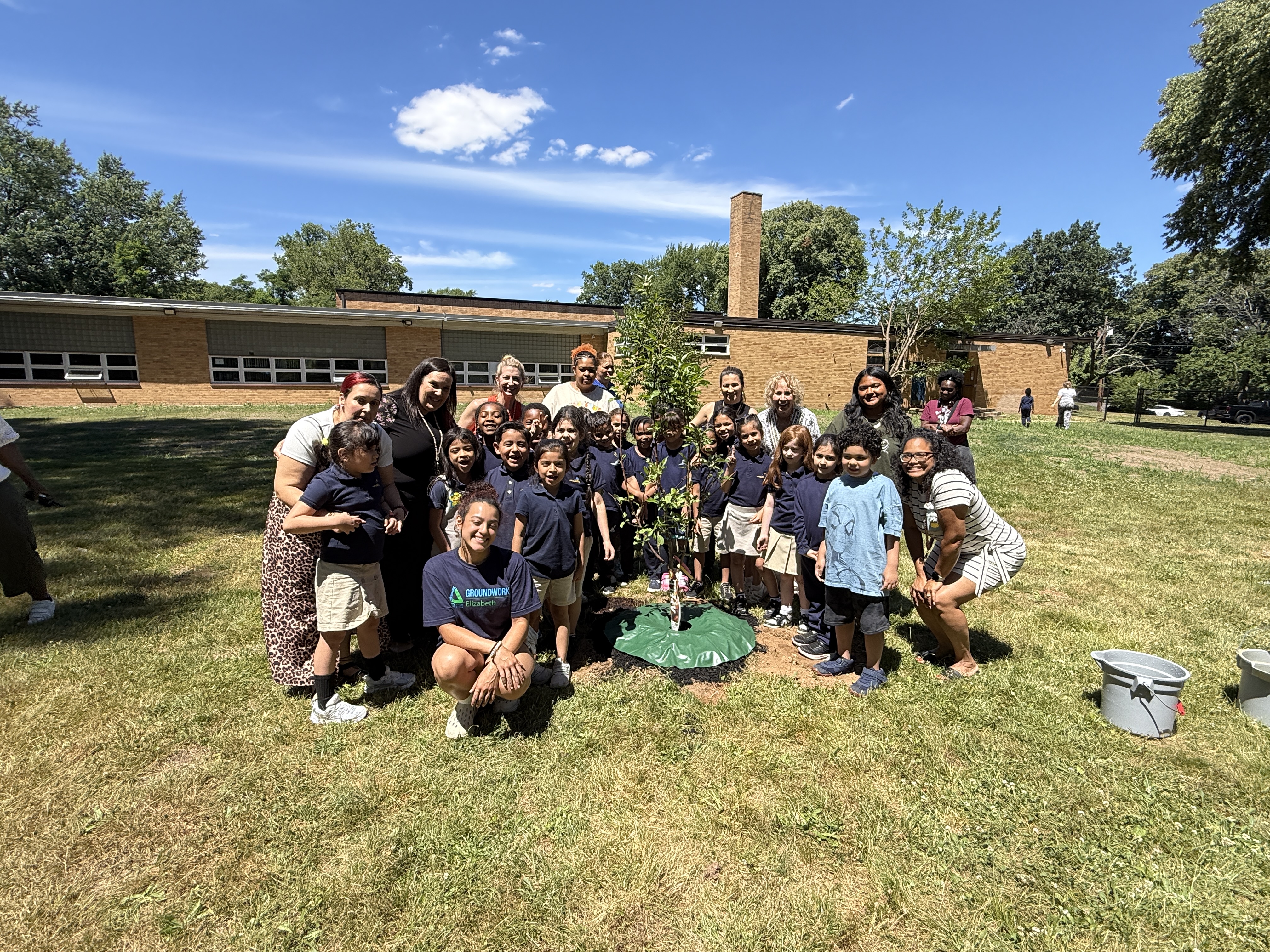 Students planting an apple tree.