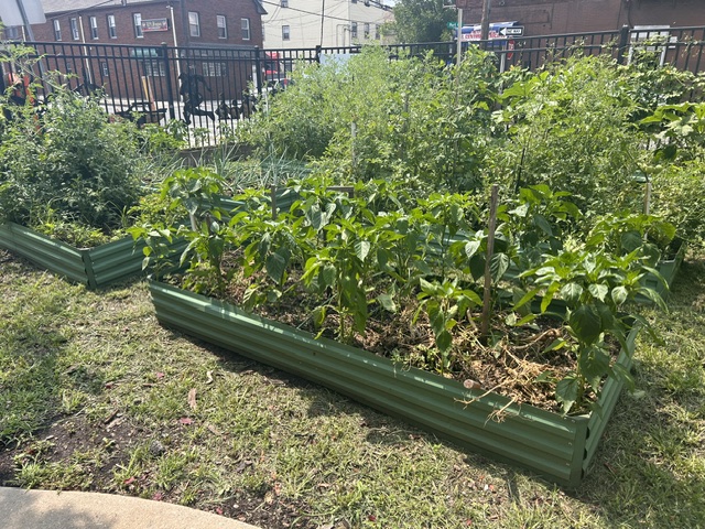 picture of Elizabethport Community Center garden 