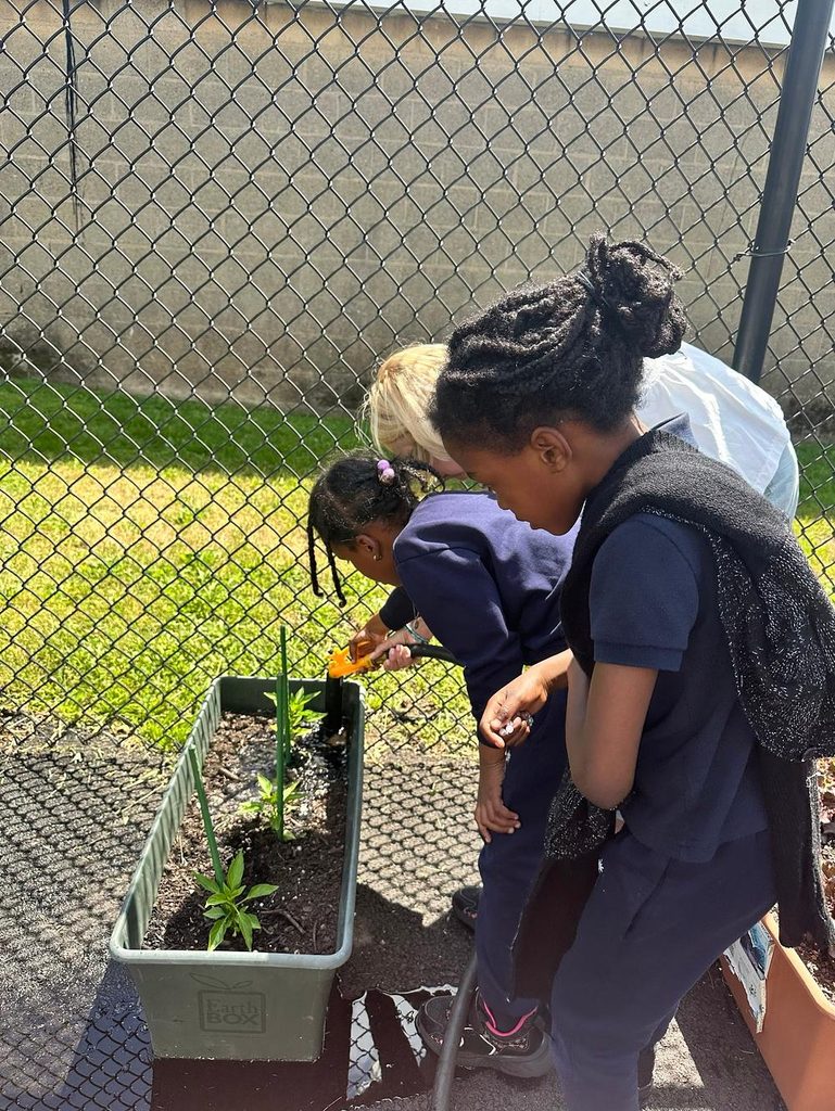 A photo of students in the garden