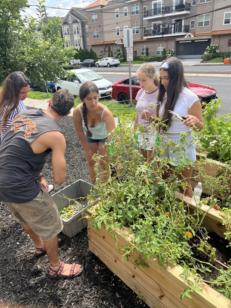 Photo of volunteers at the Zimmerman Urban Community Garden.
