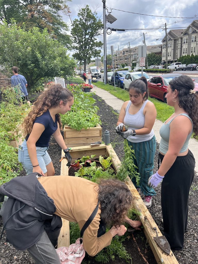 A photo of volunteers in the Zimmerman Urban Community Garden.