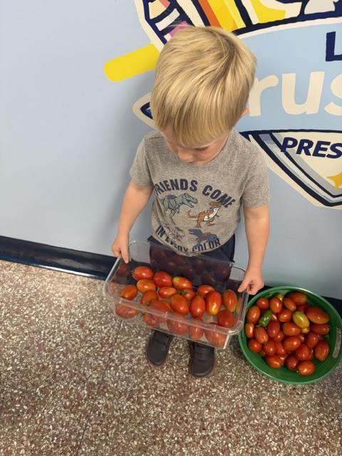 A photo of a child with tomatoes.