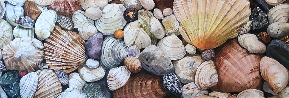 Anne Occi was awarded First Place for Watercolor by a Non-Professional artist. Her work, titled “Shells & More Shells,” is a painting of a mass of sea shells clustered together. Clam shells, scallop shells, and other shells of different sizes overlap each other in this wide-format work. The dimensions are 23 inches wide by 8 inches tall, like a wide-angle photo. The shells are skillfully rendered with exquisite detail. The colors are subtle, including many shades of gray and brown, with some purple hues and a few gold highlights.