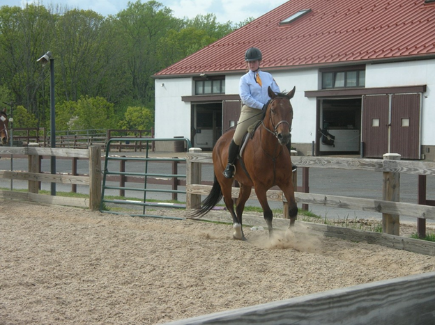 80th Annual Spring Troop Show at Watchung Stable, May 24-26 – County of ...