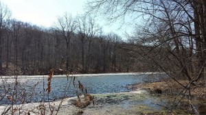 Lake Surprise in Winter, Union County NJ