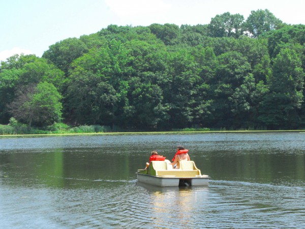 paddle boats echo lake, Union County NJ
