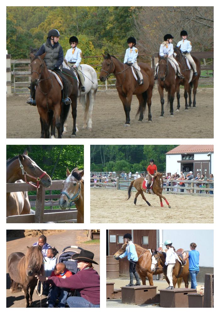 Watchung Stable collage