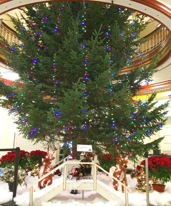 Christmas Tree (Tina Casey)