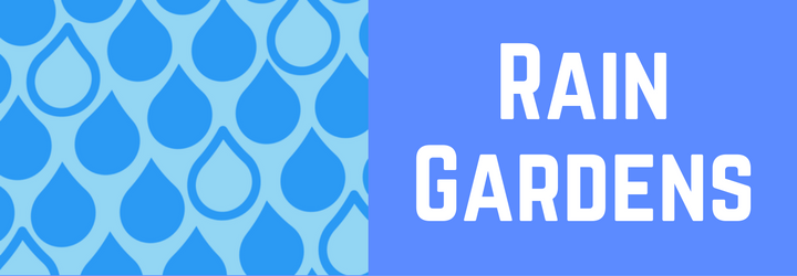 6-rain-gardens