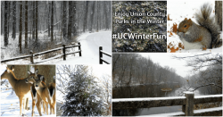 Winter in Union County Parks