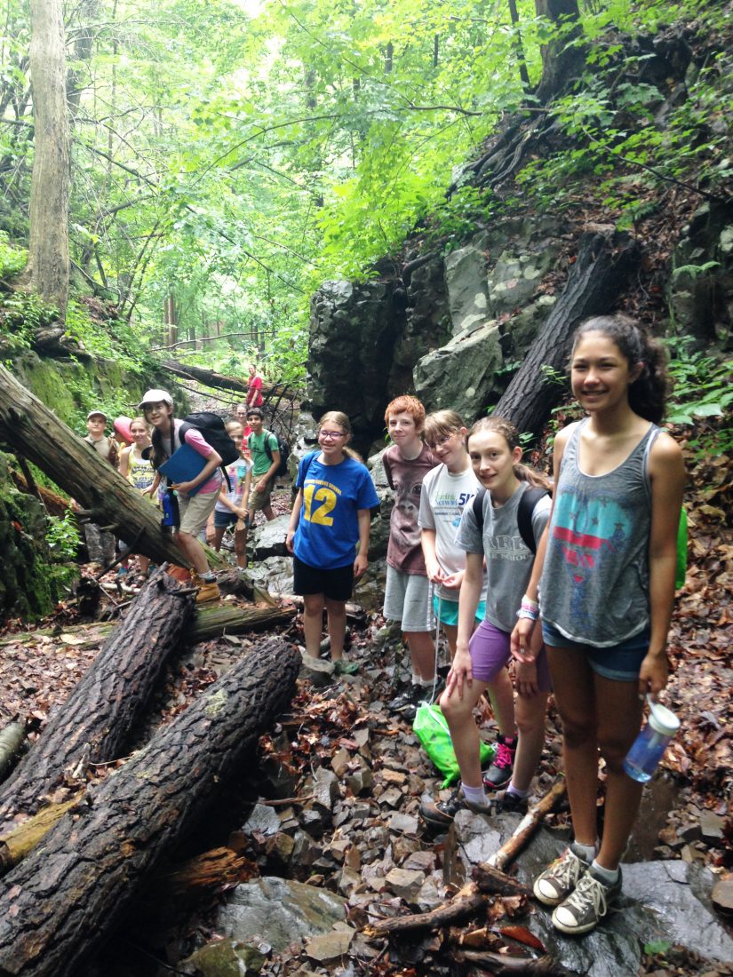 Summer Camps Open for Science, Art, and Nature Fun at Union County’s