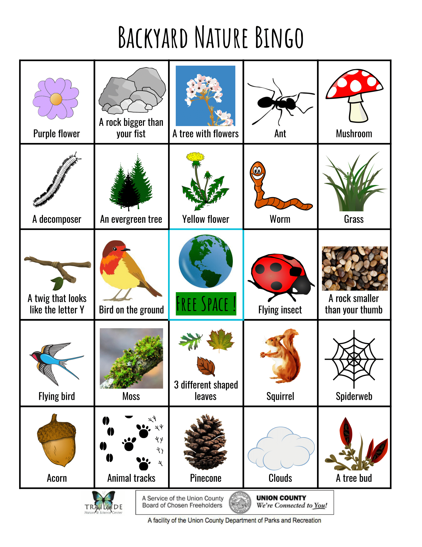 Nature Bingo (3)-1 – County of Union, New